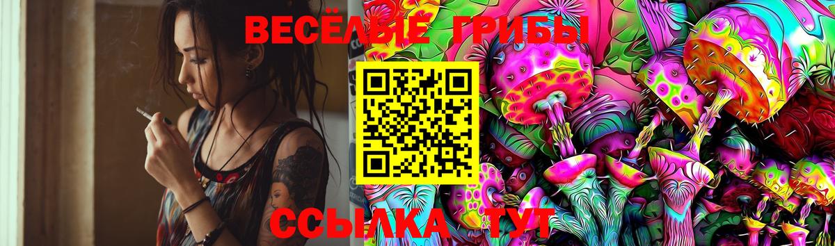 Галлюциногенные грибы Magic Shrooms Юрга