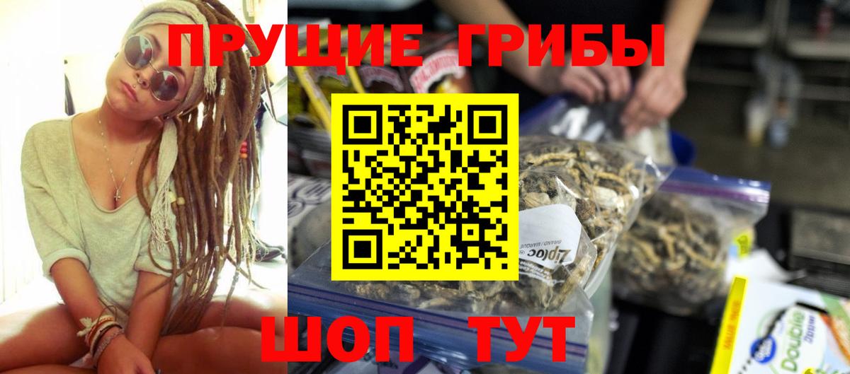 Юрга  Галлюциногенные грибы прущие грибы  Вход с VPN 